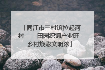 同江市三村镇拉起河村——田园织锦产业旺 乡村焕彩文明浓