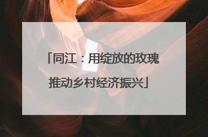 同江：用绽放的玫瑰 推动乡村经济振兴