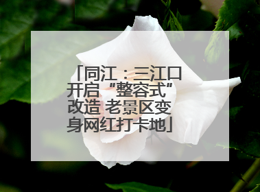 同江：三江口开启“整容式”改造 老景区变身网红打卡地
