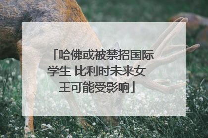 哈佛或被禁招国际学生 比利时未来女王可能受影响