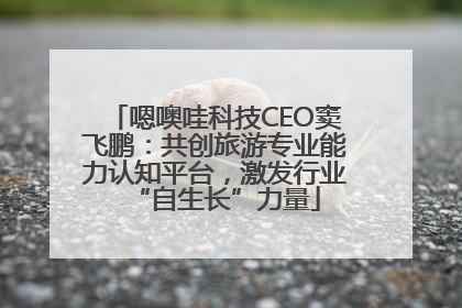 嗯噢哇科技CEO窦飞鹏：共创旅游专业能力认知平台，激发行业“自生长”力量