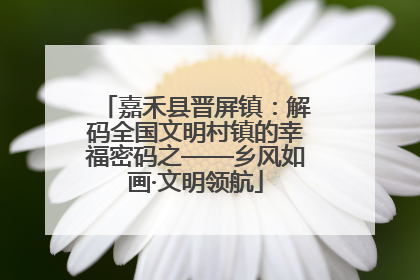 嘉禾县晋屏镇：解码全国文明村镇的幸福密码之——乡风如画·文明领航