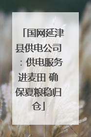 国网延津县供电公司：供电服务进麦田 确保夏粮稳归仓