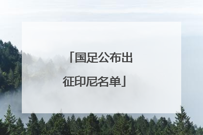 国足公布出征印尼名单