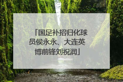 国足补招归化球员侯永永、大连英博前锋刘祝润