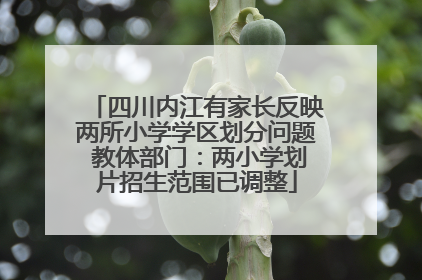 四川内江有家长反映两所小学学区划分问题 教体部门：两小学划片招生范围已调整