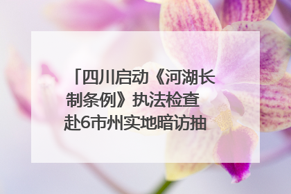 四川启动《河湖长制条例》执法检查 赴6市州实地暗访抽查｜四川人大之声