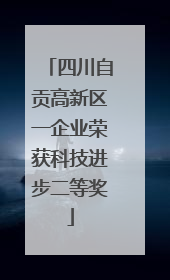 四川自贡高新区一企业荣获科技进步二等奖