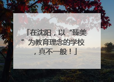 在沈阳，以“臻美”为教育理念的学校，真不一般！