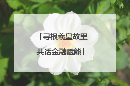 寻根羲皇故里 共话金融赋能