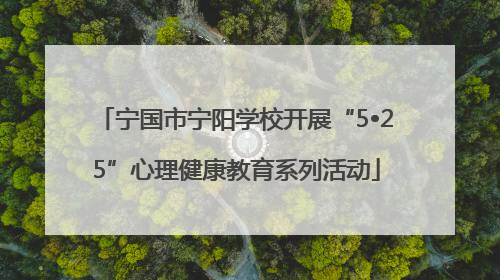 宁国市宁阳学校开展“5•25”心理健康教育系列活动