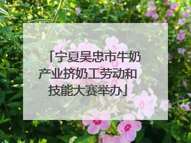 宁夏吴忠市牛奶产业挤奶工劳动和技能大赛举办