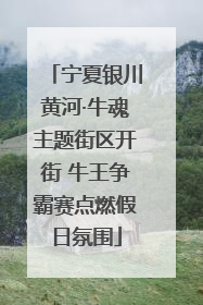 宁夏银川黄河·牛魂主题街区开街 牛王争霸赛点燃假日氛围