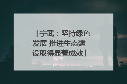 宁武：坚持绿色发展 推进生态建设取得显著成效