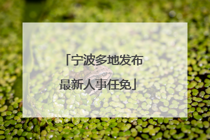 宁波多地发布最新人事任免