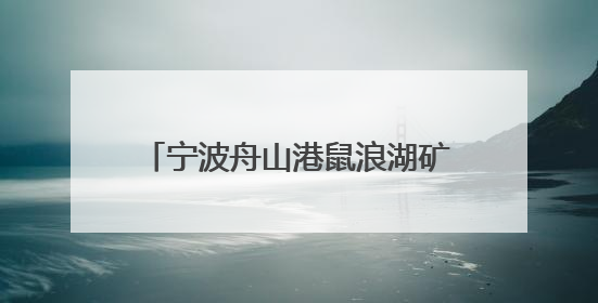 宁波舟山港鼠浪湖矿石中转码头矿石堆场巡检进入“无人时代”