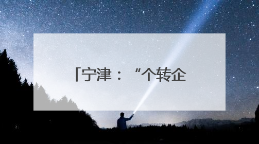 宁津：“个转企”1小时办结，信用代码无缝延续