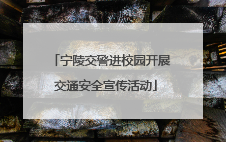 宁陵交警进校园开展交通安全宣传活动