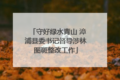 守好绿水青山 漳浦县委书记督导涉林图斑整改工作