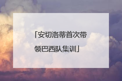 安切洛蒂首次带领巴西队集训