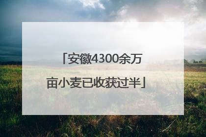 安徽4300余万亩小麦已收获过半