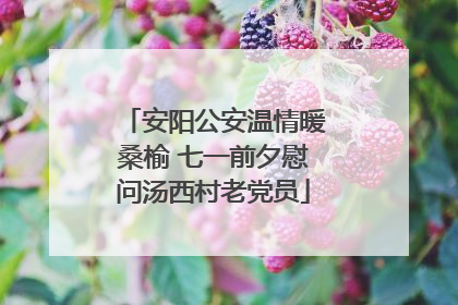 安阳公安温情暖桑榆 七一前夕慰问汤西村老党员