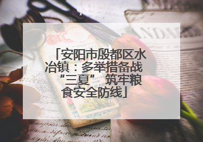 安阳市殷都区水冶镇：多举措备战“三夏” 筑牢粮食安全防线