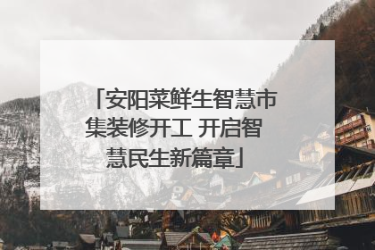 安阳菜鲜生智慧市集装修开工 开启智慧民生新篇章