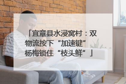 宜章县水浸窝村：双物流按下“加速键” 杨梅锁住“枝头鲜”