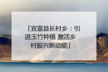 宜章县长村乡：引进玉竹种植 激活乡村振兴新动能