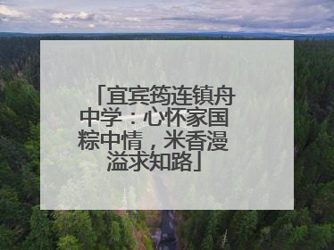 宜宾筠连镇舟中学：心怀家国粽中情，米香漫溢求知路