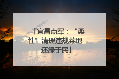 宜昌点军：“柔性”清理违规菜地 还绿于民