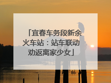 宜春车务段新余火车站：站车联动劝返离家少女