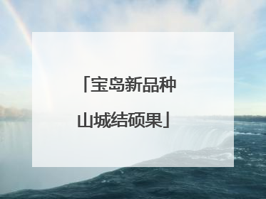 宝岛新品种 山城结硕果