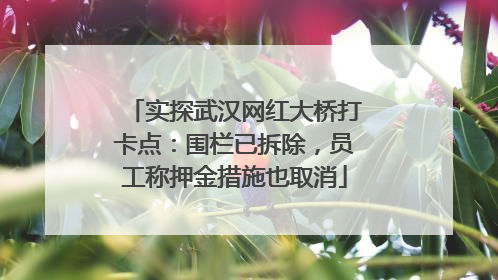 实探武汉网红大桥打卡点：围栏已拆除，员工称押金措施也取消