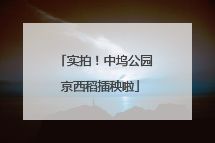 实拍！中坞公园京西稻插秧啦