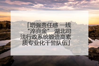 增强责任感 一线“淬真金” 湖北司法行政系统锻造高素质专业化干警队伍