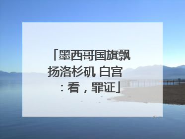 墨西哥国旗飘扬洛杉矶 白宫：看，罪证