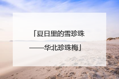夏日里的雪珍珠——华北珍珠梅