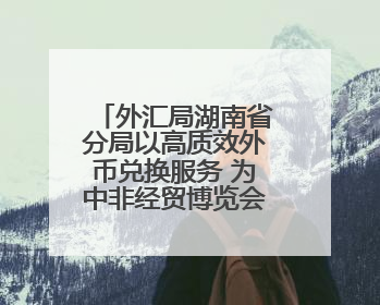 外汇局湖南省分局以高质效外币兑换服务 为中非经贸博览会赋能