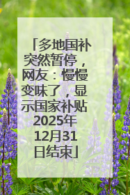 多地国补突然暂停，网友：慢慢变味了，显示国家补贴2025年12月31日结束