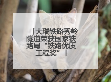 大瑞铁路秀岭隧道荣获国家铁路局“铁路优质工程奖”