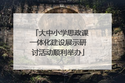 大中小学思政课一体化建设展示研讨活动顺利举办
