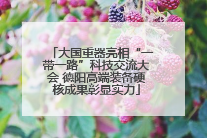 大国重器亮相“一带一路”科技交流大会 德阳高端装备硬核成果彰显实力