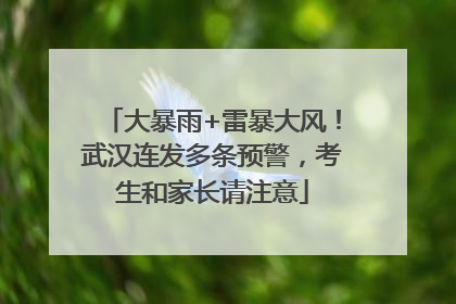 大暴雨+雷暴大风！武汉连发多条预警，考生和家长请注意
