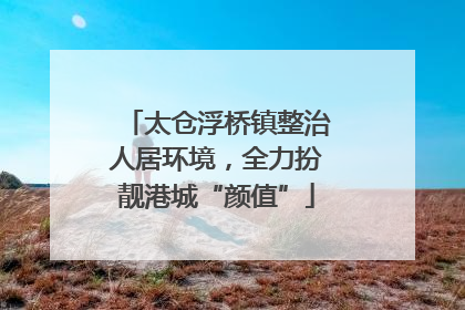 太仓浮桥镇整治人居环境，全力扮靓港城“颜值”