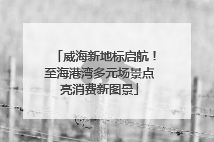 威海新地标启航！至海港湾多元场景点亮消费新图景