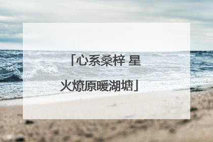 心系桑梓 星火燎原暖湖塘
