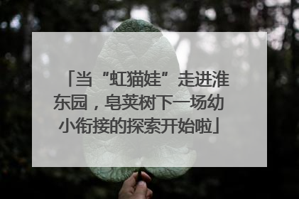 当“虹猫娃”走进淮东园，皂荚树下一场幼小衔接的探索开始啦