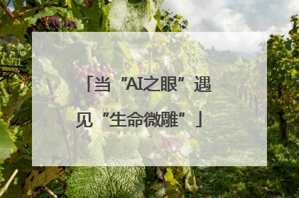 当“AI之眼”遇见“生命微雕”